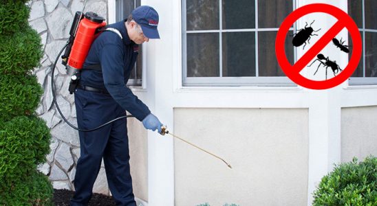 Uzundere Kemirgen İlaçlama böcek ilaçlama ve haşere kontrolü — ilaclama-tr.com